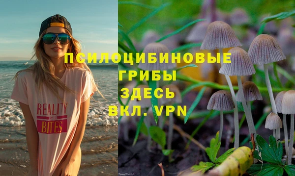 ALPHA PVP Армянск