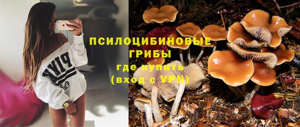 ALPHA PVP Армянск