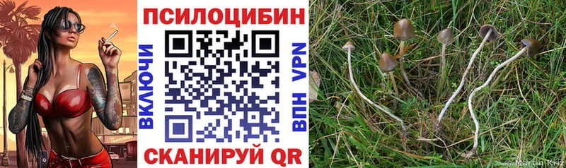 купить закладку  Поронайск  hydra ссылка  Галлюциногенные грибы ЛСД 